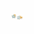 Twinkle Star Studs